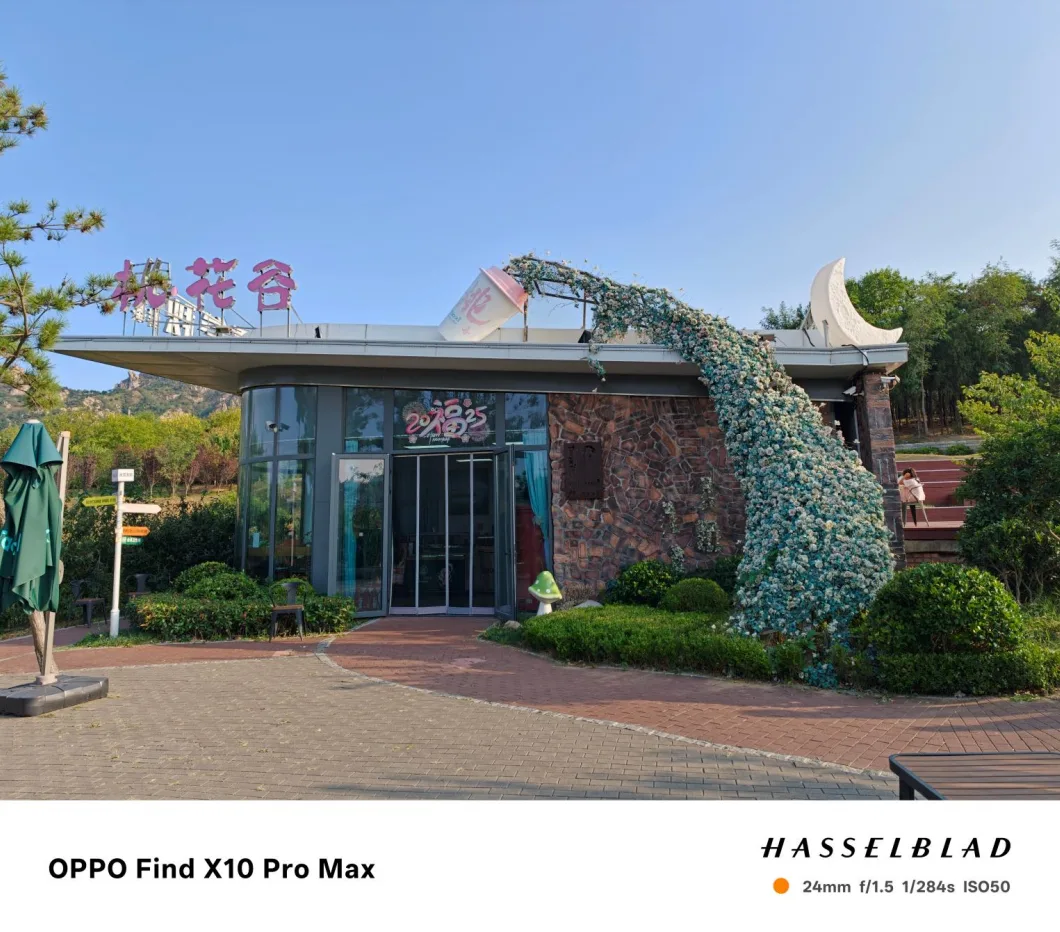 OPPO Find X10 Pro Max — مشهد نهاري، عدسة 24 مم